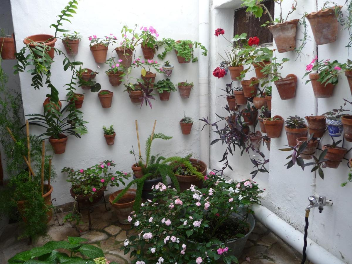 Casa Sol Villa Vejer de la Frontera Exterior foto